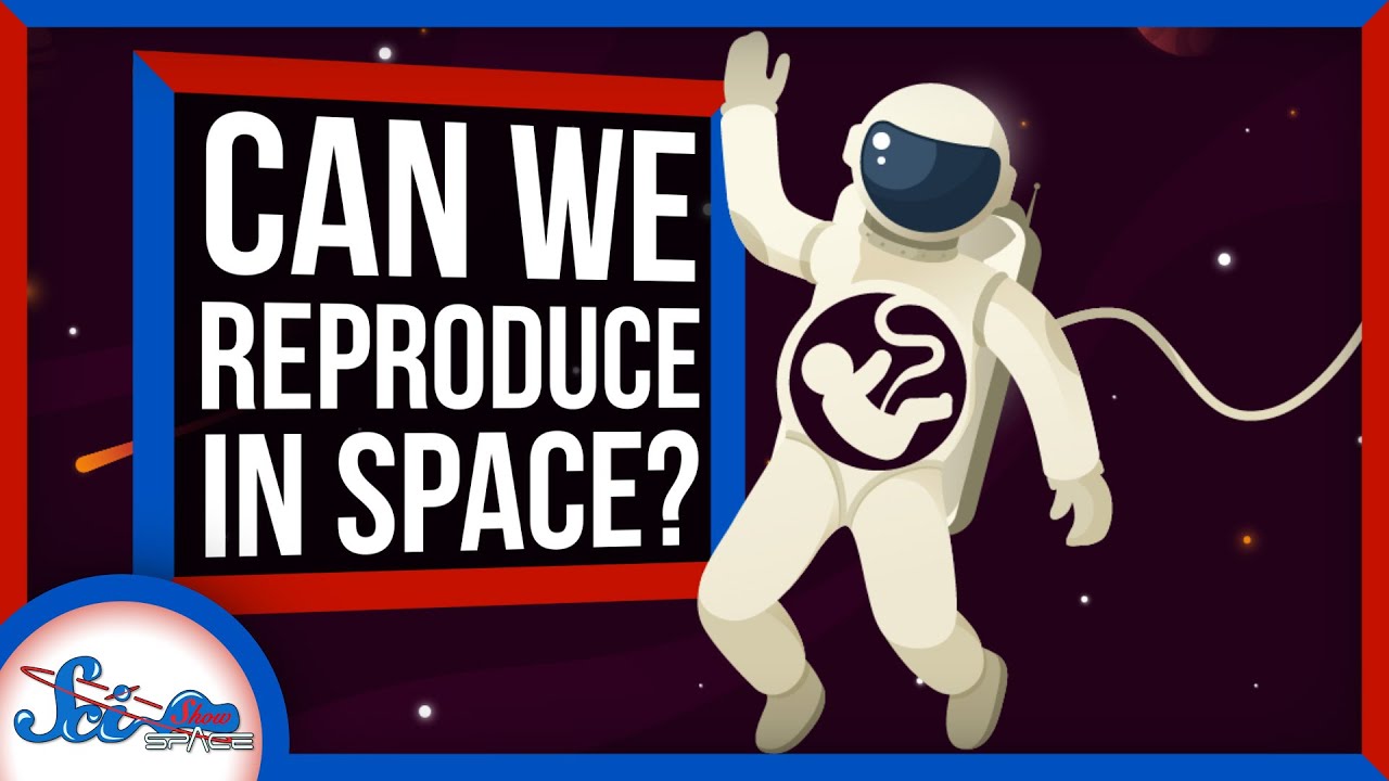 Could You Get Pregnant in Space?