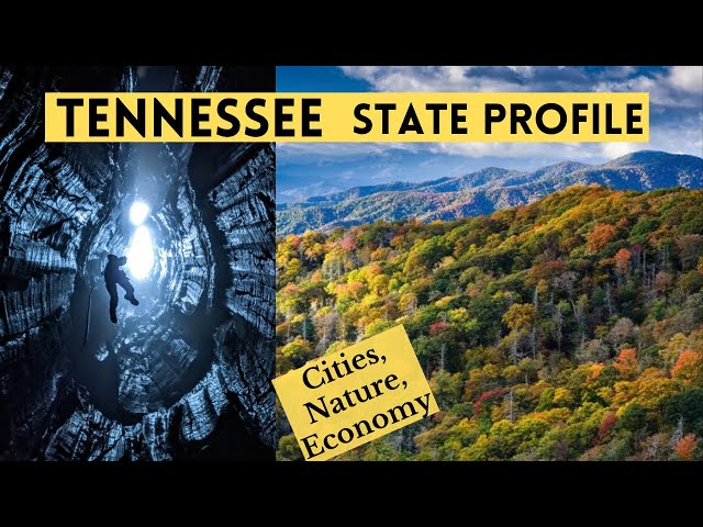 ⁣Tennessee: State Profile