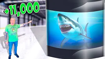 ⁣I Saved $11,000 On My Shark Tank!