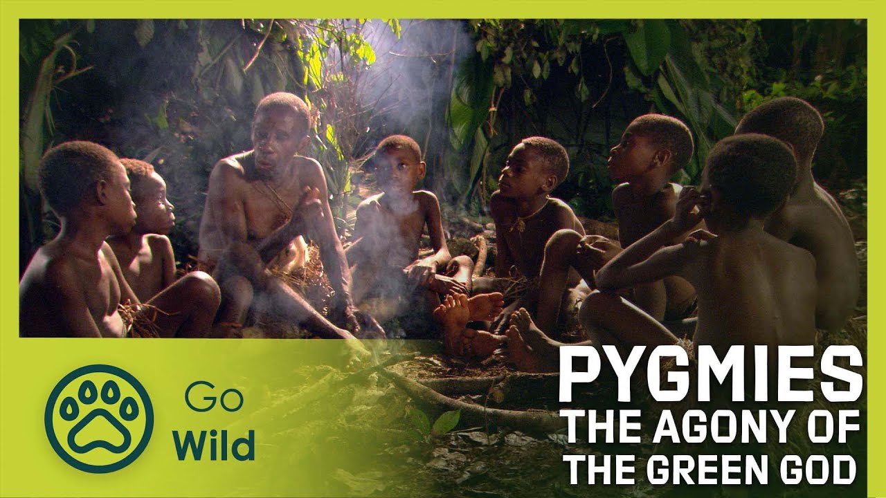 Pygmies: The Agony of the Green God | Go Wild