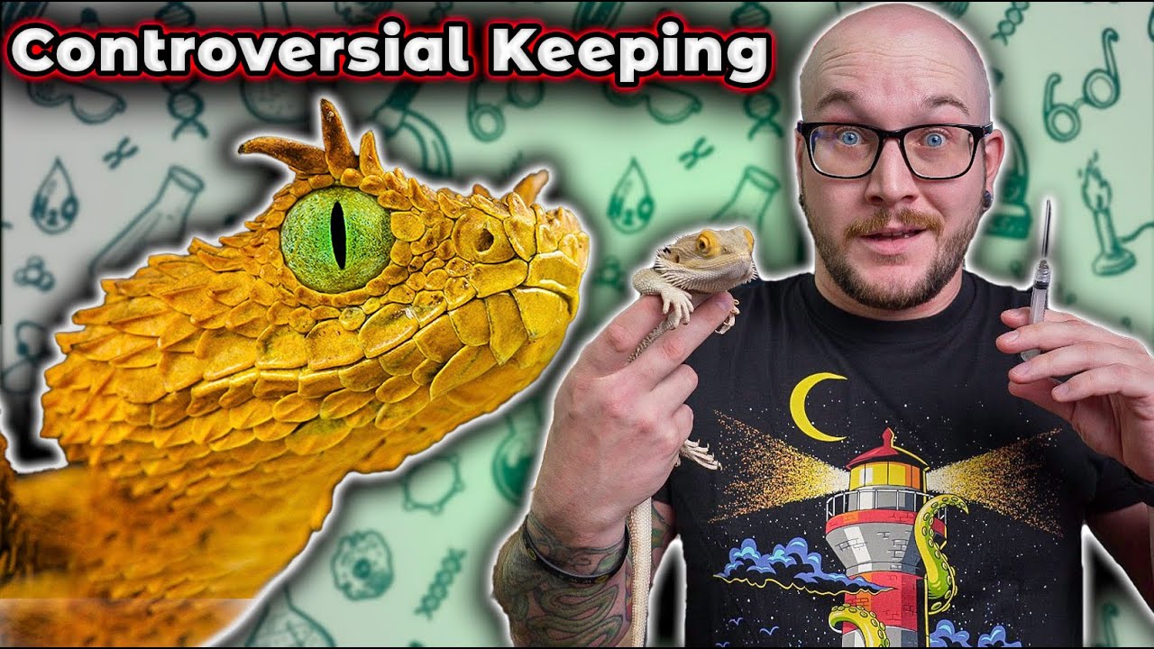 ⁣You Probably Wont Watch This Video About Reptile Experimentation... But You Should!