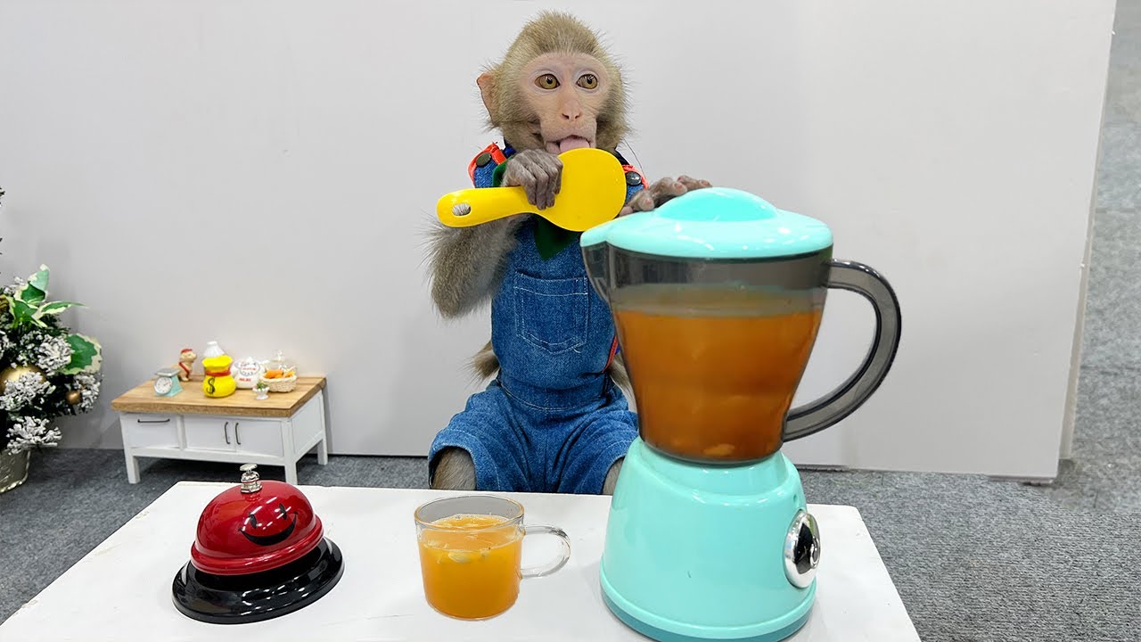 ⁣Baby monkey Bim Bim collects oranges in the garden and makes orange juice