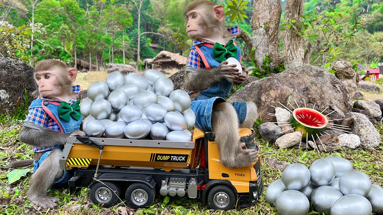 ⁣Monkey Baby Bim Bim rides a car and plays in the playground with crocodiles and steals eggs