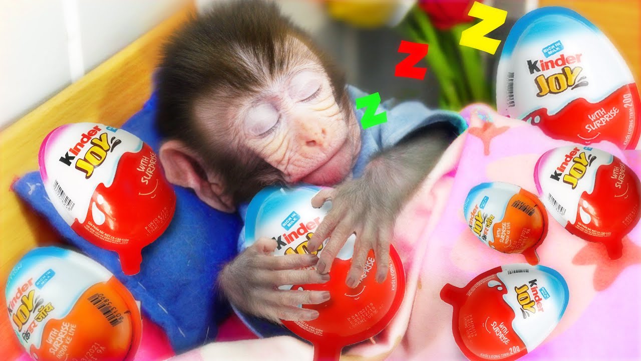 Monkey baby Bi Bon takes care of the sick MiMi cat and eats Kinder Joy candy | Funny Cat Video
