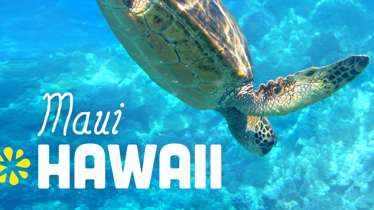 Maui Hawaii 2013