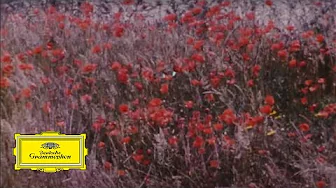 Gidon Kremer – Philip Glass: New Seasons Movement IV – Jonas Mekas