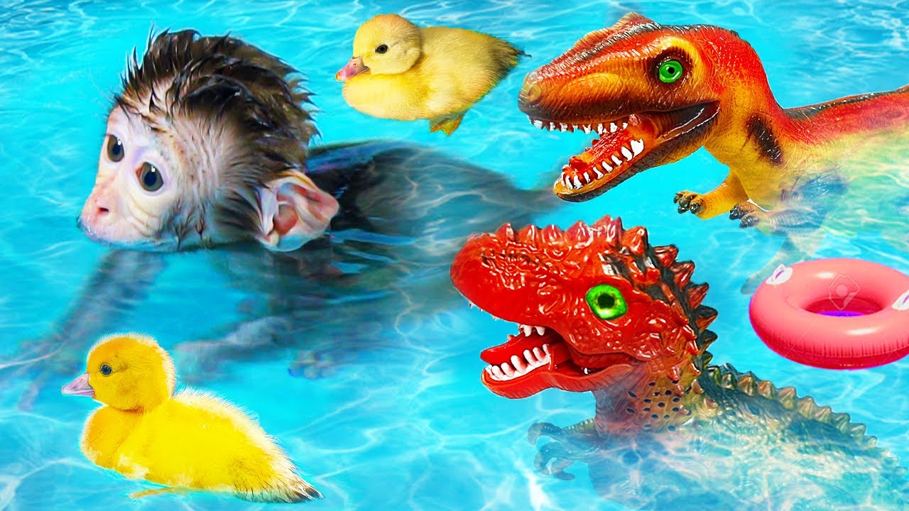 Oh No! Monkey baby Bi Bon goes swimming to confront the evil dinosaur | Funny Animals Video