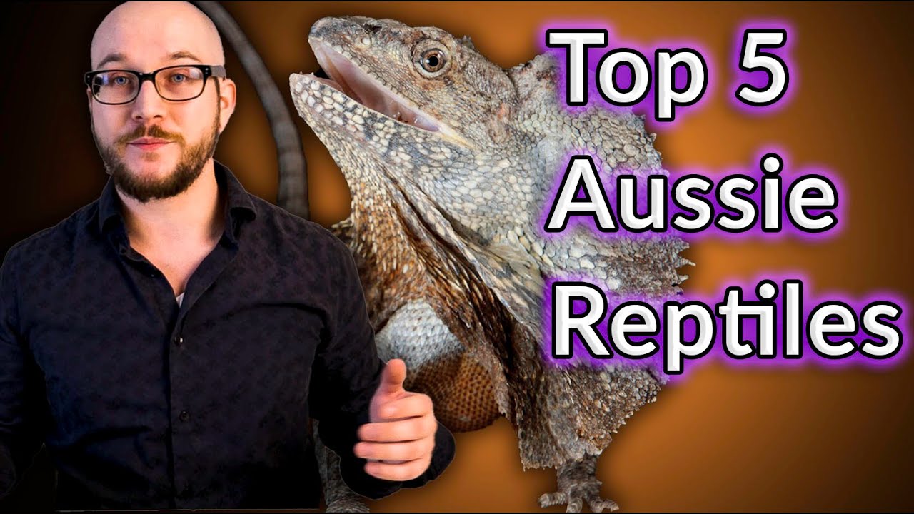 ⁣Top 5 Coolest Australian Reptiles That Make Great Pets