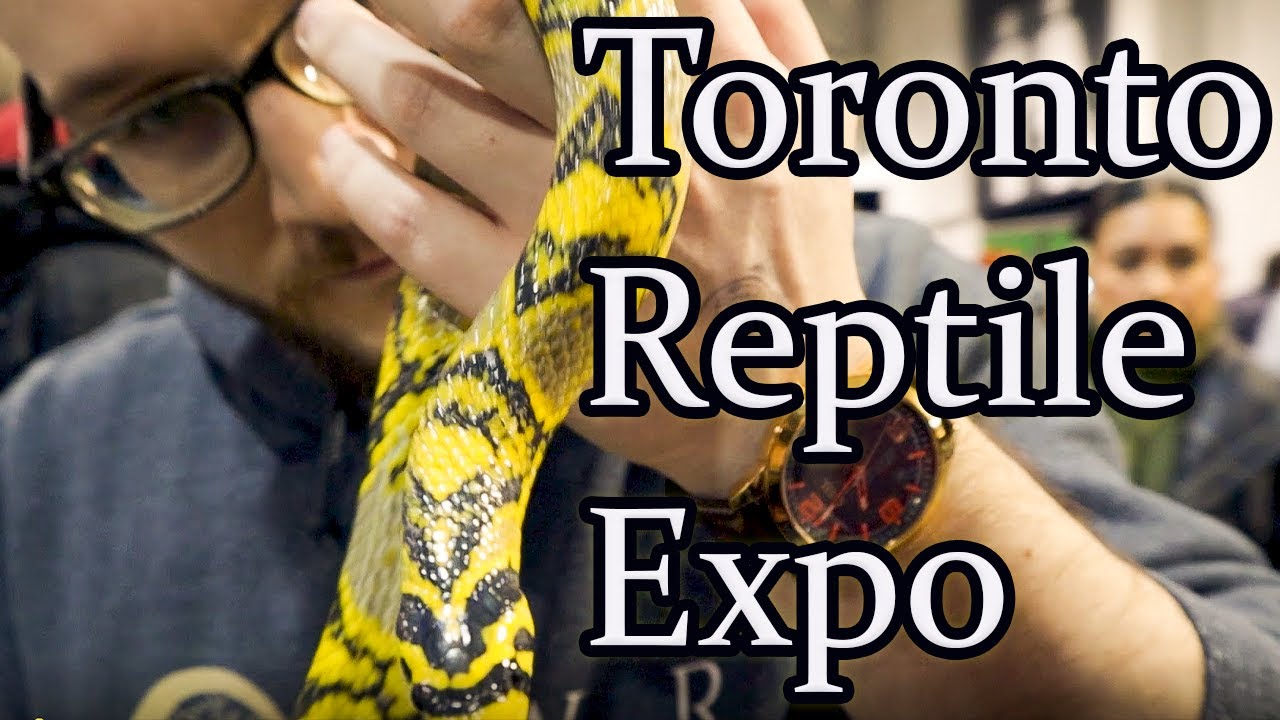 Toronto Reptile Expo 2020
