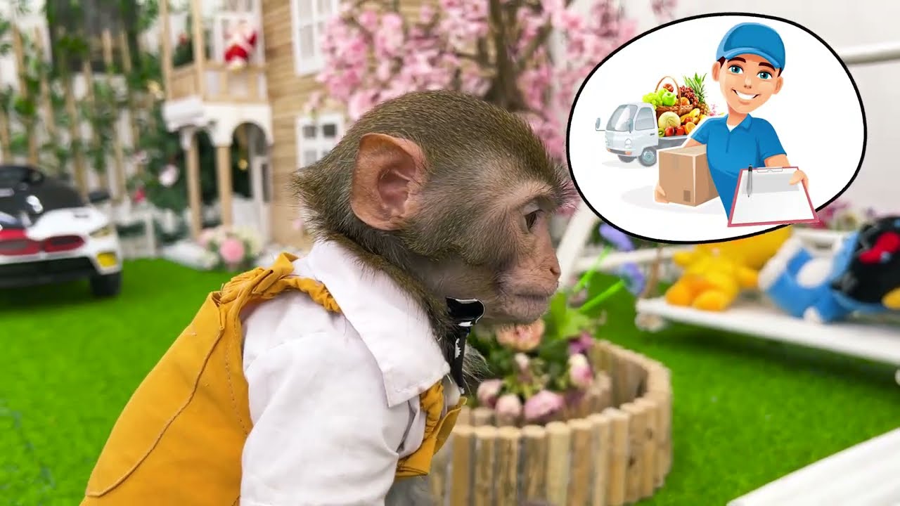 ⁣Funniest Animals 2023| Smart Baby monkey Bim Bim harvest fruit to make colorful milk