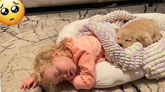 ⁣Golden Retriever Puppy Wont Leave Sleeping Baby s Side! (Cutest EVER!!)