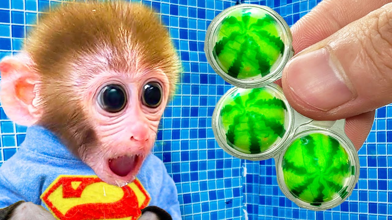 ⁣Monkey baby Bi Bon eats the magic watermelon marshmallows of the dinosaur witch | Funny videos
