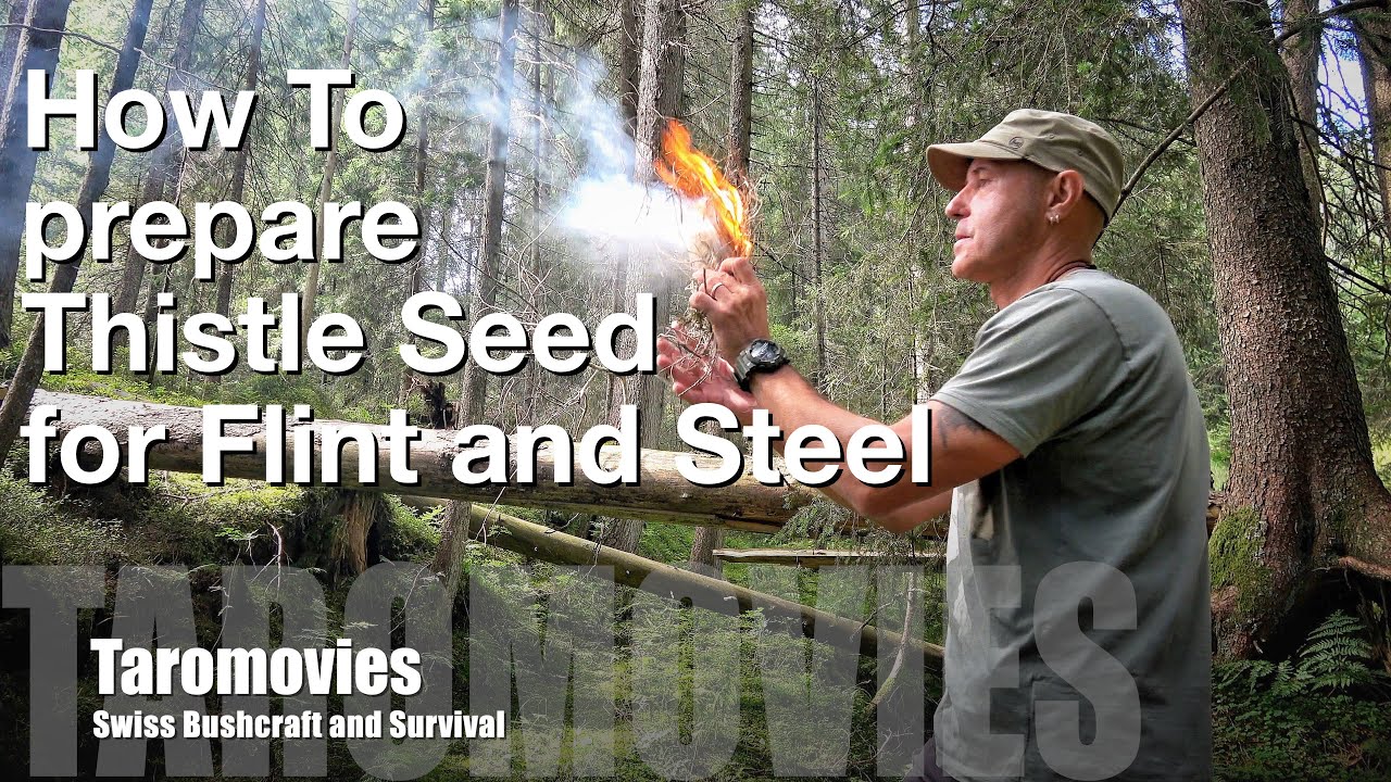 ⁣How to prepare Thistle Seed Tinder for Flint and Steel / Bushcraft-Survival / 4K