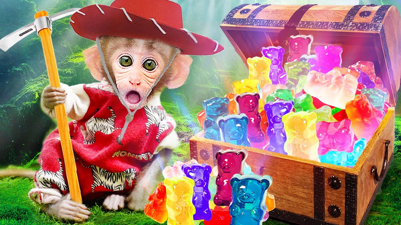 Baby Monkey Bi Bon go to find the treasure of rainbow gummy bear candy in the chest | Animals Video
