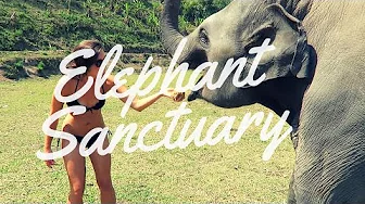 ⁣INCREDIBLE Elephant Sanctuary Experience - Chiang Mai, Thailand 2016