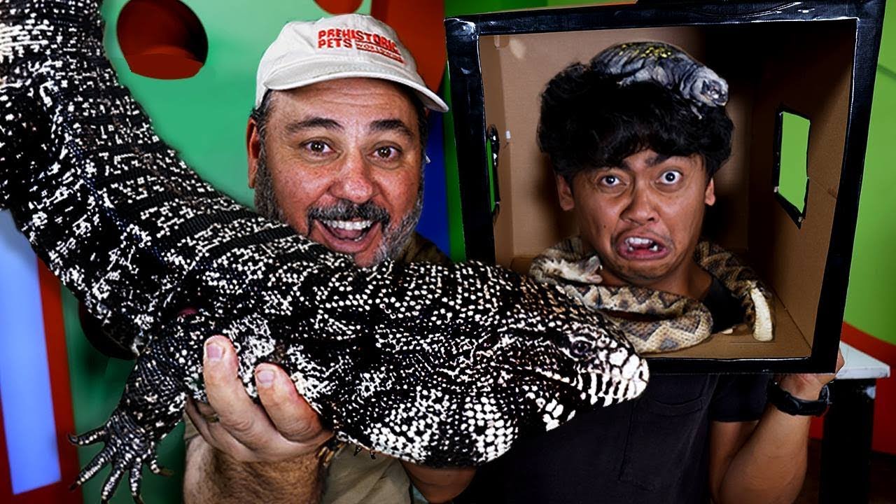 ⁣What s In The Box GUAVA?  Fake Snake Prank