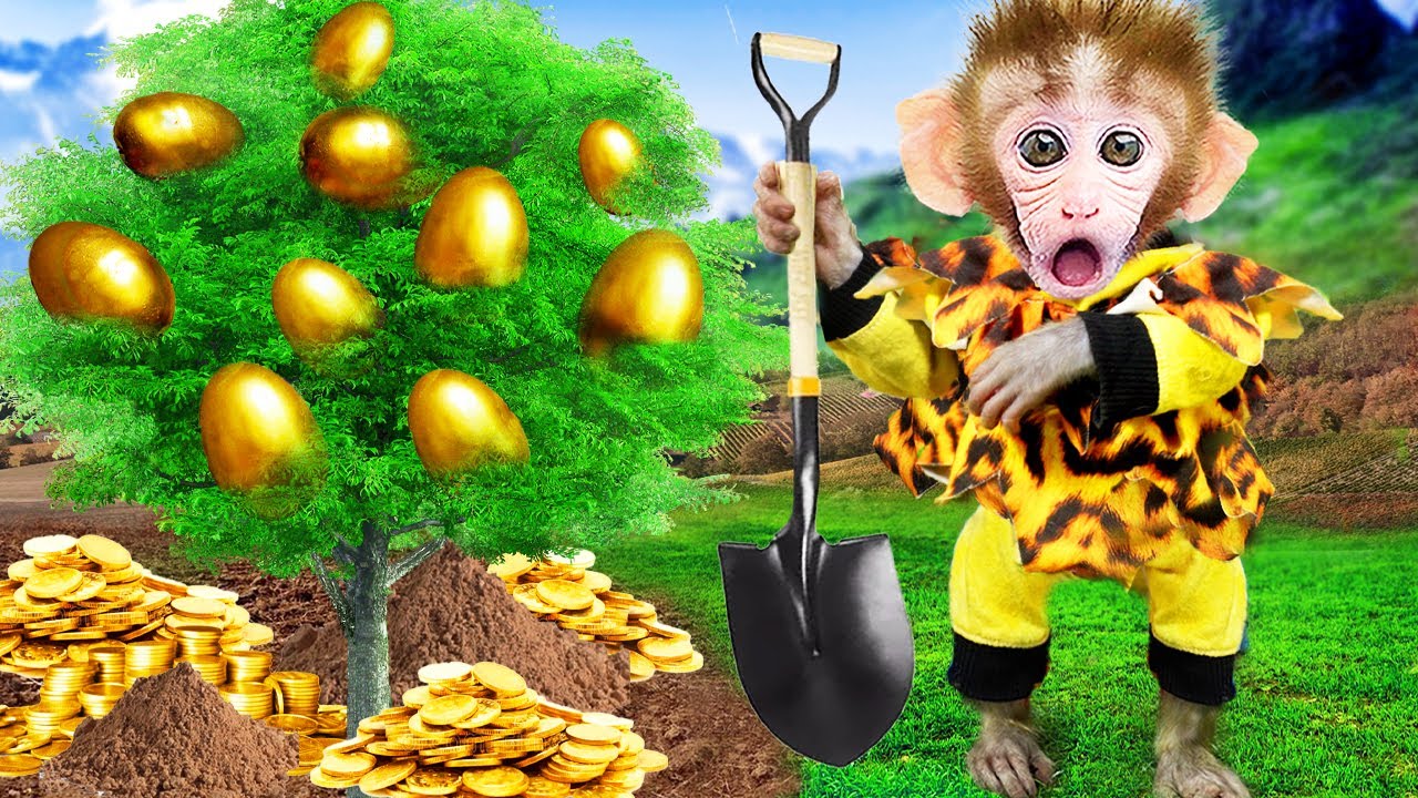 Smart Baby Monkey Bi Bon grows and harvest trees golden eggs | Funny  Animals Video