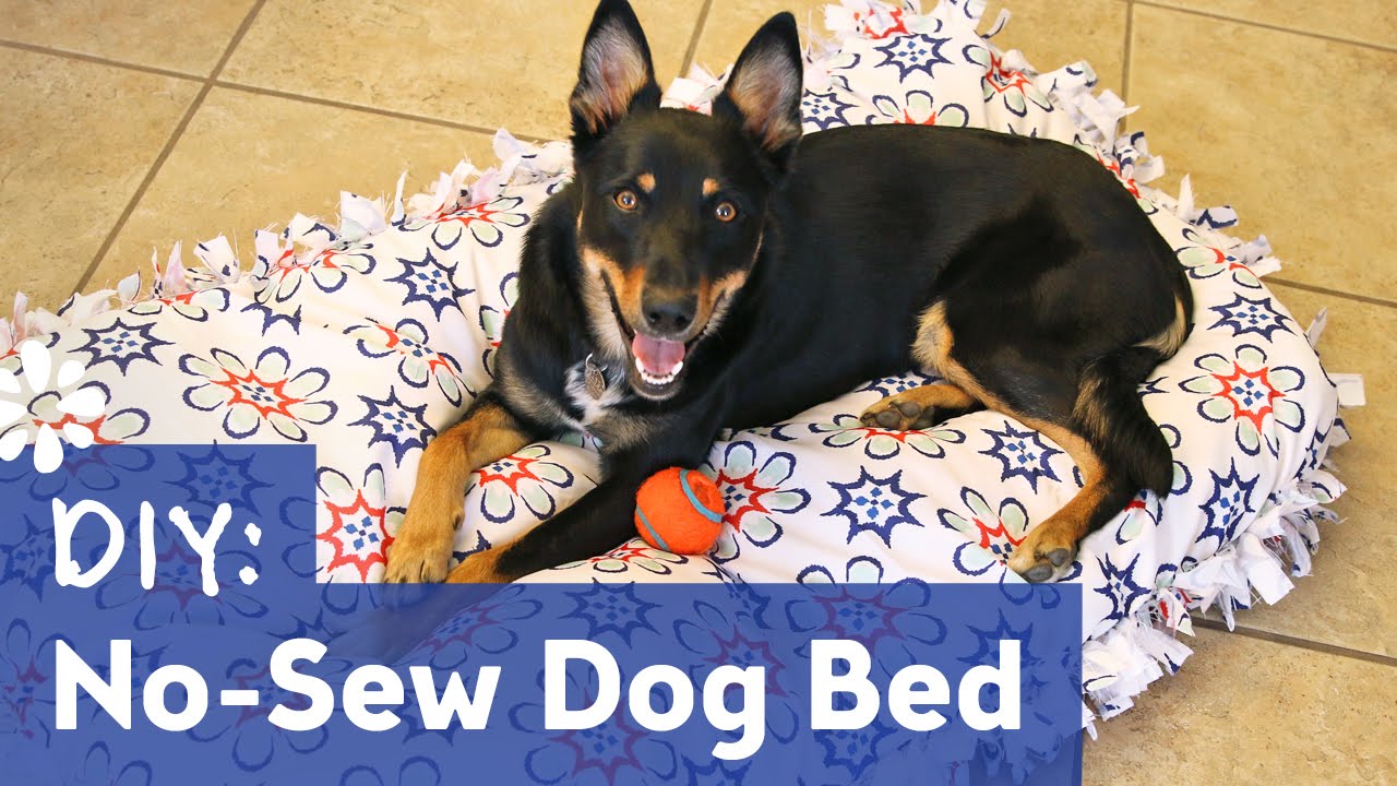 DIY No-Sew Dog Pet Bed | Sea Lemon