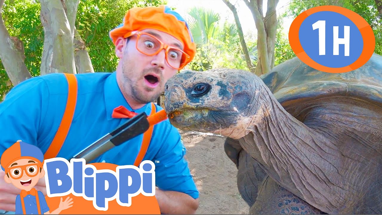 ⁣Blippi Visits a Zoo (Phoenix Zoo) | 1 HOUR BEST OF BLIPPI | Animal Videos for Kids | Blippi Toys