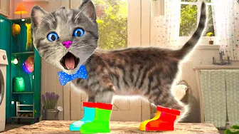 LITTLE KITTEN ADVENTURE - CAT VIDEOS AND CARTOON KITTEN ON A FUN JOURNEY