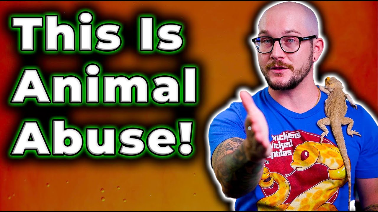 ⁣Animal abuse is Disgusting! How Does This Even Happen? | My Response to Slithers