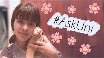  Me façam perguntas pro #AskUni  