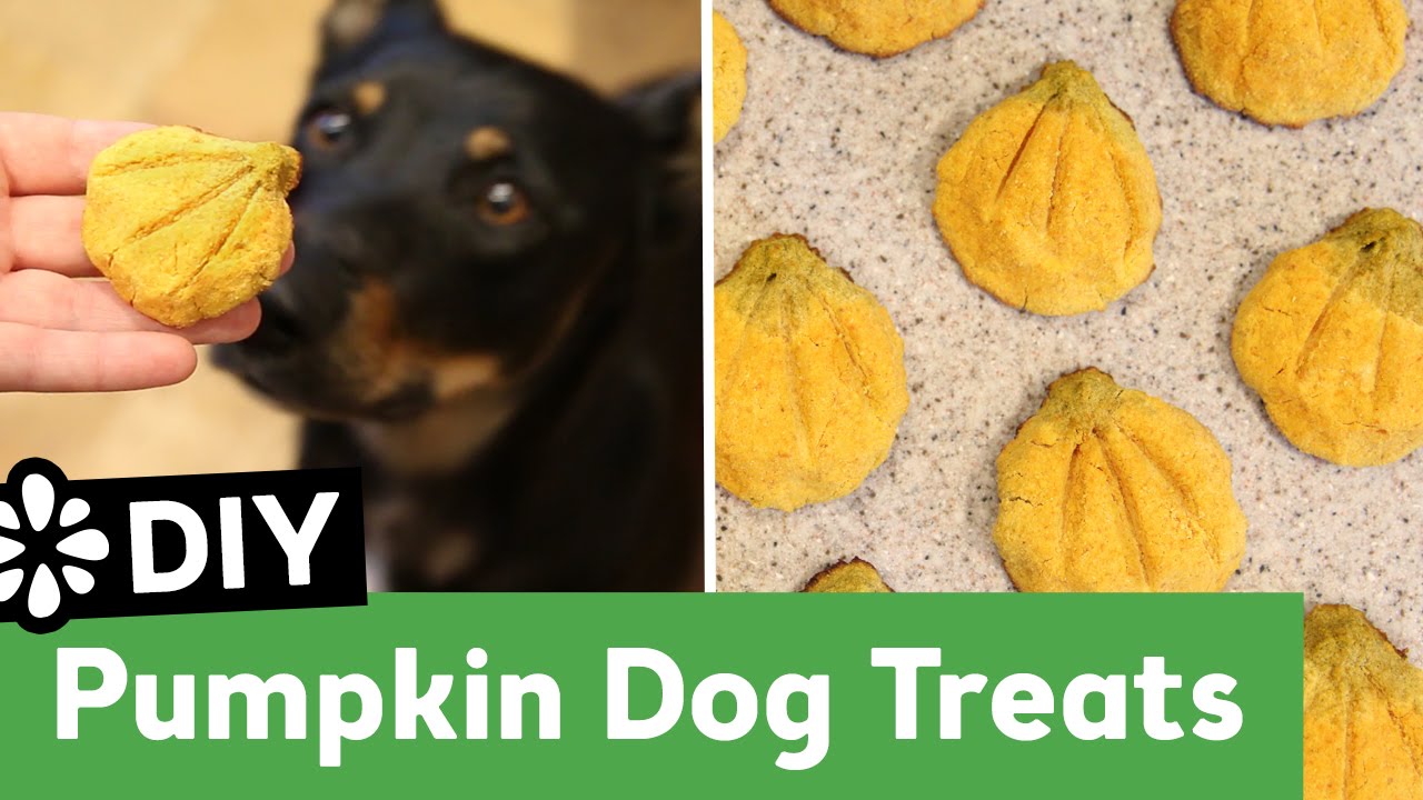 ⁣DIY Pumpkin Dog Treats | All Natural Grain Free Recipe | Sea Lemon
