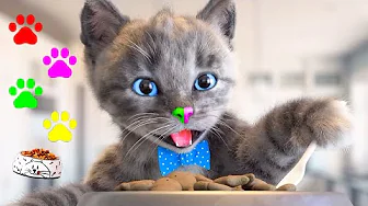 ⁣LITTLE KITTEN ADVENTURE - ANIMATED VIDEO AND SUPER JOURNEY OF KITTENS AND CATS