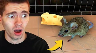 ⁣JOGUEI O SIMULADOR DE RATO!!! (VÍDEO ENGRAÇADO) - Rat Simulator